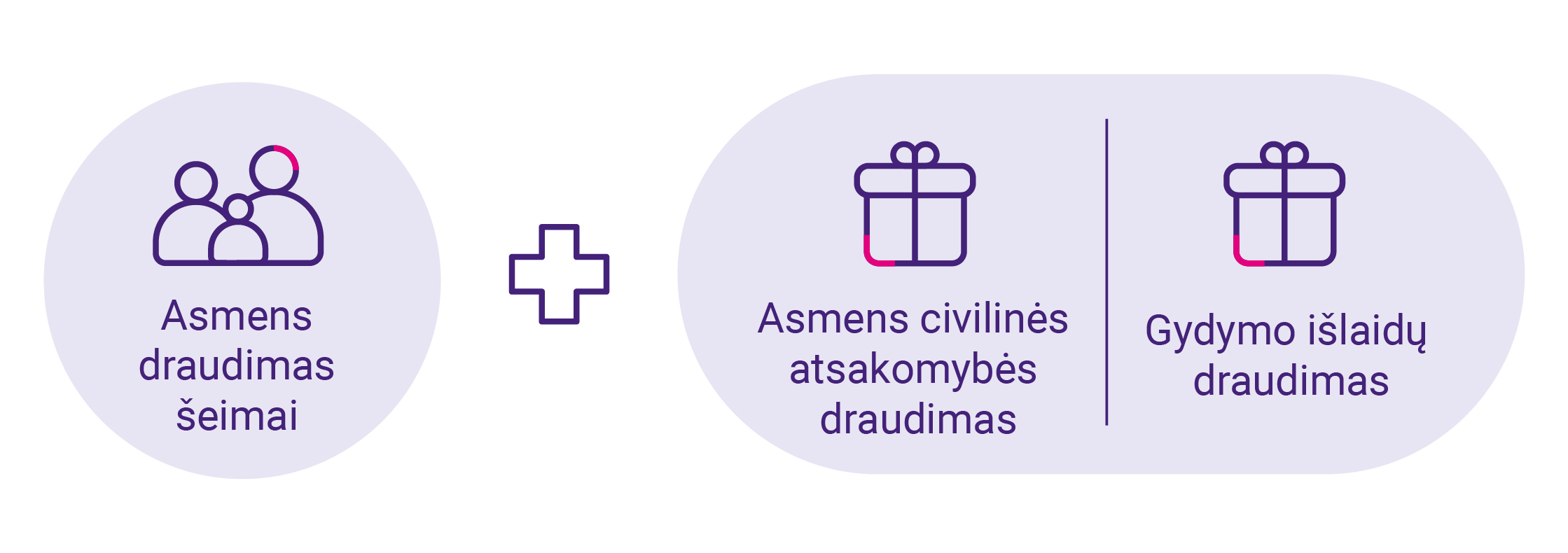 Asmens draudimas šeimai + Asmens civilinės atsakomybės draudimas ir Gydymo išlaidų draudimas.