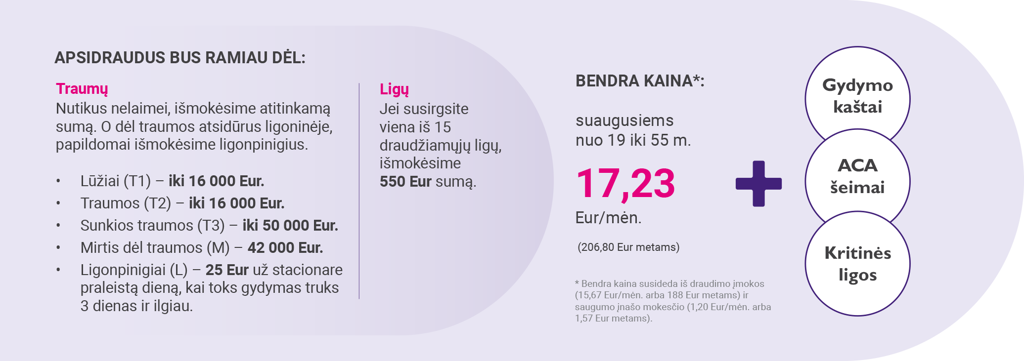 lentele su salygomis ir kaina