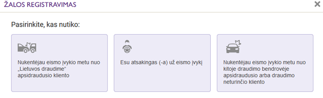 žalos registravimo detalizacija