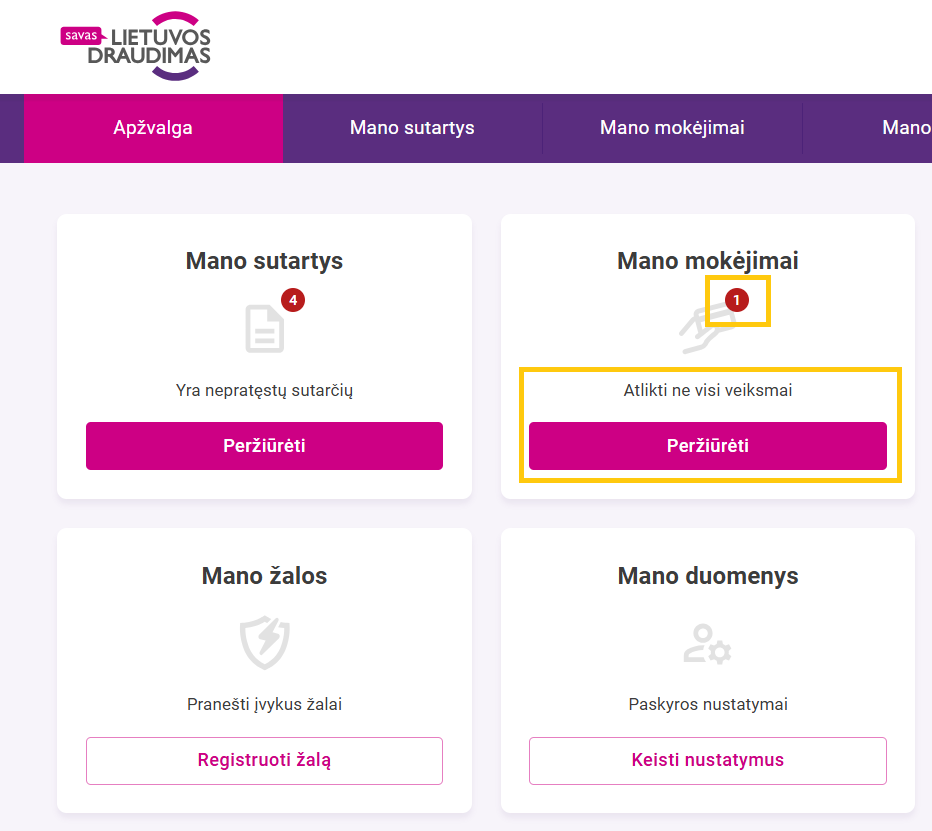 Pagrindinis langas su 4 skiltimis su informacija, skiltyje ,,Mano mokėjimai" galima peržiūrėti neatliktus mokėjimus.