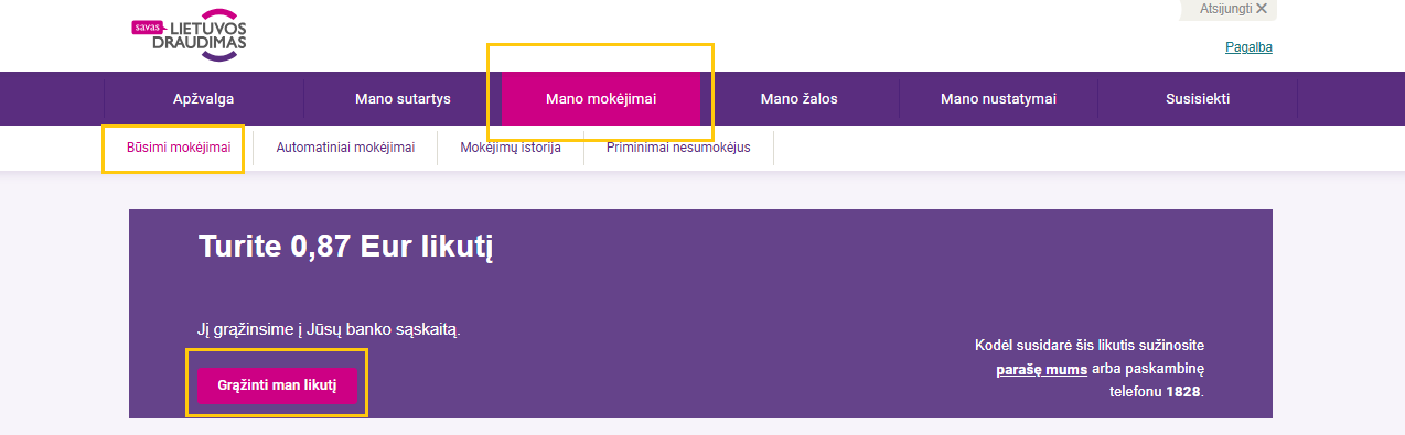 Savitarnos langas, kuriame matomas pinigų likutis