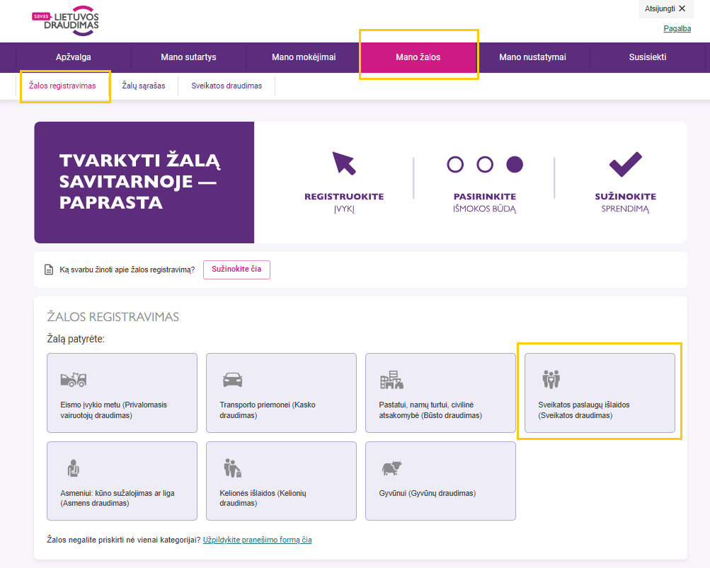 Langas, kuriame išdestyti draudimo produktai pagal tipus